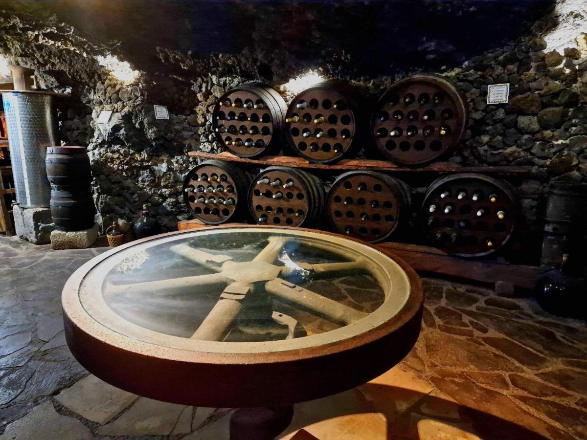 Finca Los Loros Icod De Los Vinos By Hrtenerife Net Santa Cruz de Tenerife Bagian luar foto
