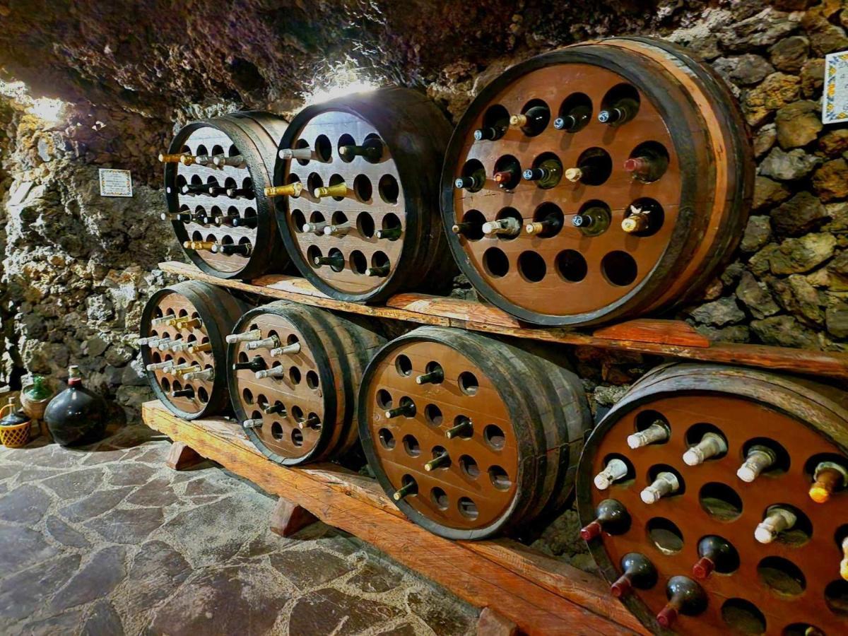 Finca Los Loros Icod De Los Vinos By Hrtenerife Net Santa Cruz de Tenerife Bagian luar foto